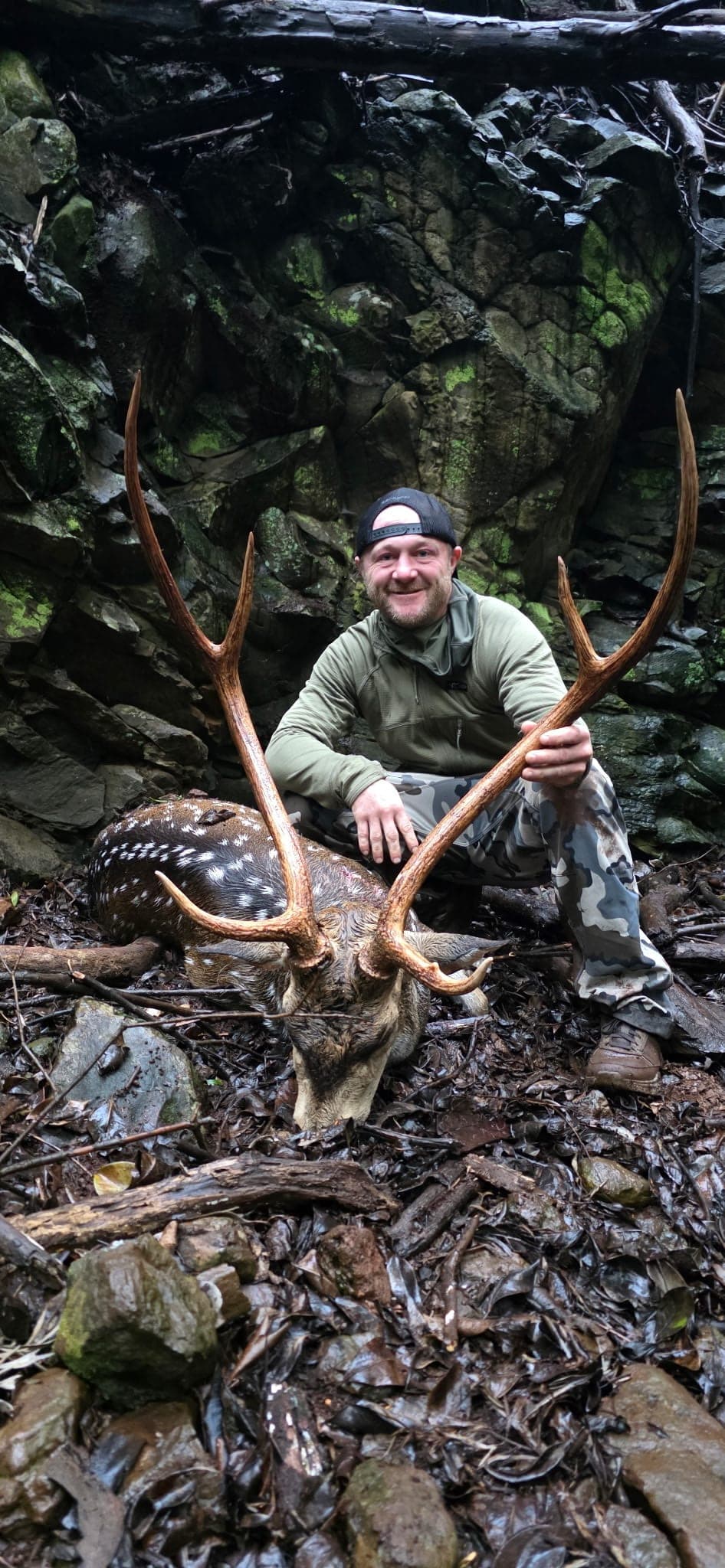 A hunter kneels with an axis buck on wet, mossy rock deep in a shaded gulch