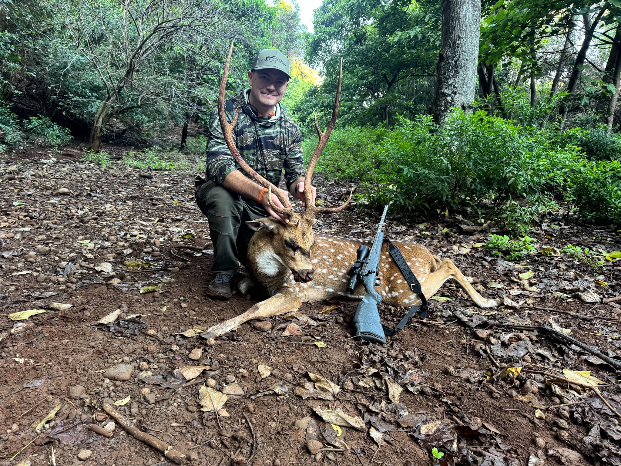 A hunter kneels with a spotted axis deer and rifle on the leaf-covered floor of a Hawaii forest