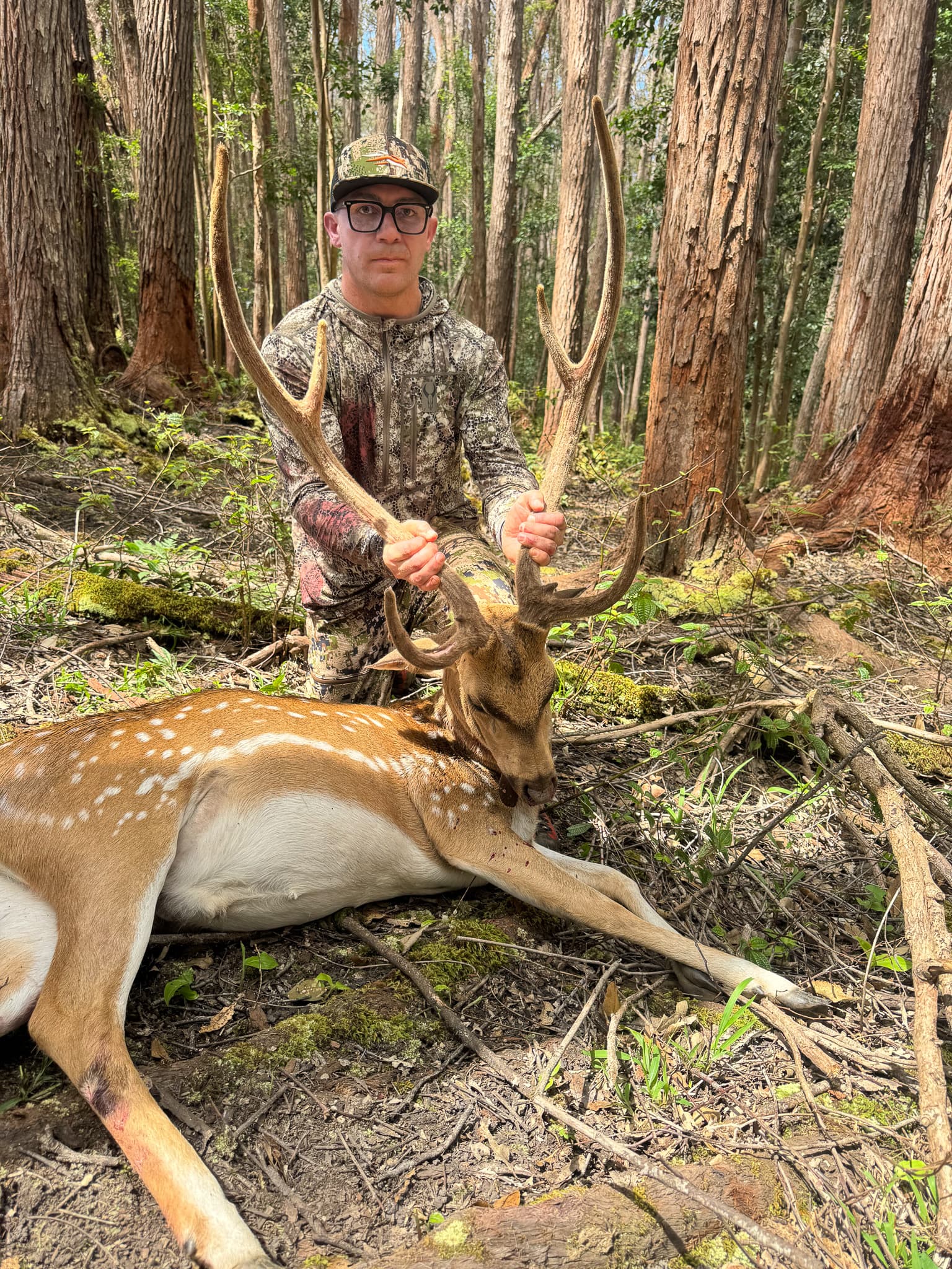 A hunter holds the antlers of a spotted axis deer in a stand of tall island timber