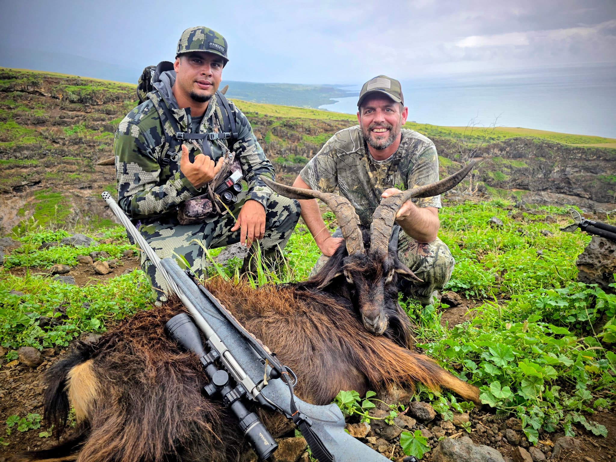 Two guided hunters in camouflage kneel with a harvested Spanish goat on a green coastal Maui hillside above the ocean